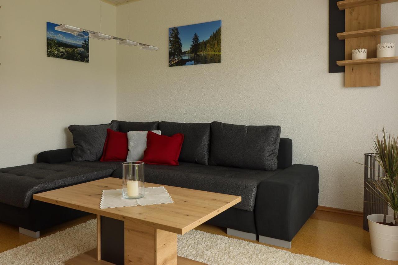 Buchen Blick - Ruhige Moderne Ferienwohnung 82Qm. Fichtelberg Eksteriør bilde